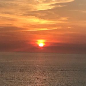 Meet your Posher, Davida